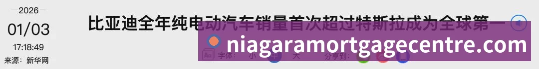 奖项证书